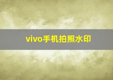 vivo手机拍照水印