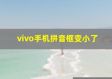 vivo手机拼音框变小了