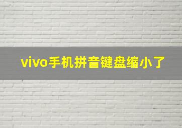 vivo手机拼音键盘缩小了