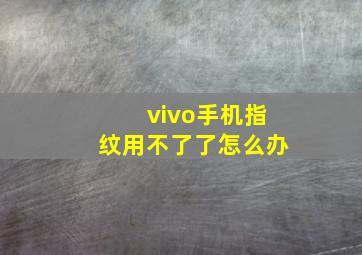 vivo手机指纹用不了了怎么办