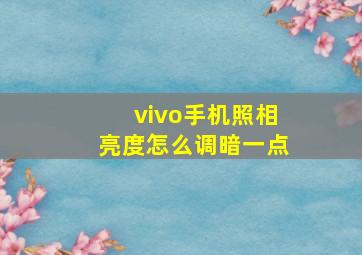 vivo手机照相亮度怎么调暗一点