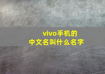 vivo手机的中文名叫什么名字