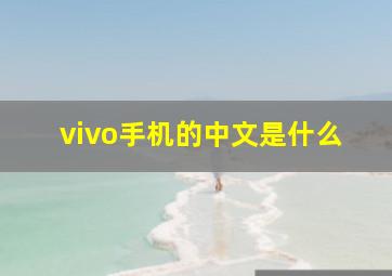 vivo手机的中文是什么