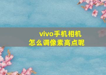 vivo手机相机怎么调像素高点呢