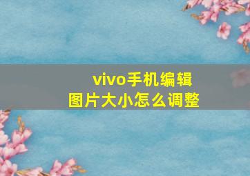 vivo手机编辑图片大小怎么调整