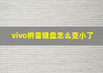 vivo拼音键盘怎么变小了