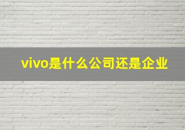 vivo是什么公司还是企业