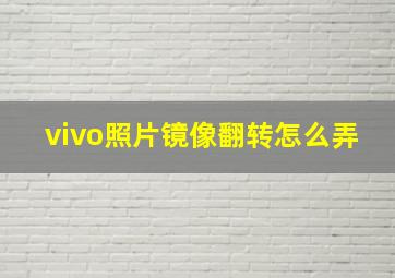 vivo照片镜像翻转怎么弄