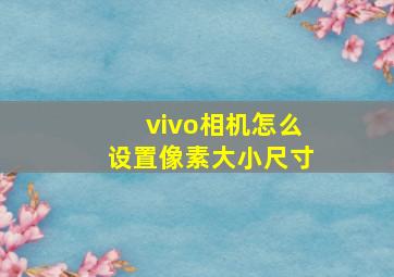 vivo相机怎么设置像素大小尺寸