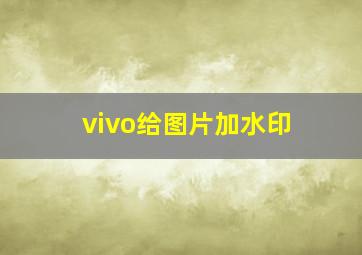 vivo给图片加水印