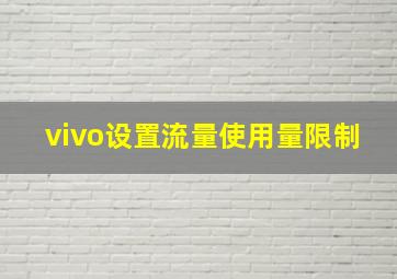 vivo设置流量使用量限制