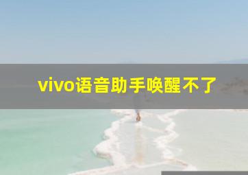 vivo语音助手唤醒不了