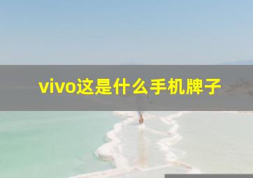 vivo这是什么手机牌子