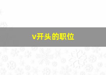 v开头的职位