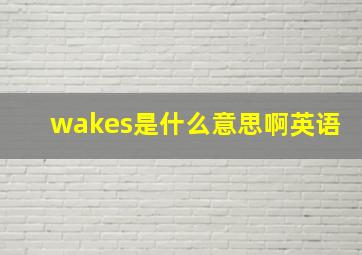 wakes是什么意思啊英语