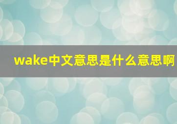 wake中文意思是什么意思啊