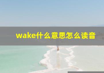 wake什么意思怎么读音