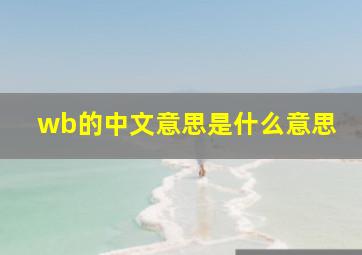 wb的中文意思是什么意思