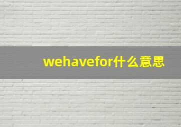 wehavefor什么意思