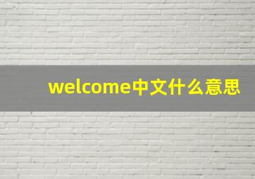 welcome中文什么意思