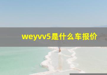 weyvv5是什么车报价