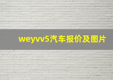 weyvv5汽车报价及图片