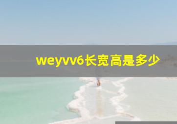 weyvv6长宽高是多少