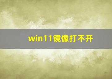 win11镜像打不开