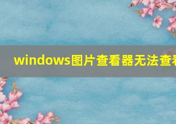 windows图片查看器无法查看