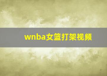 wnba女篮打架视频