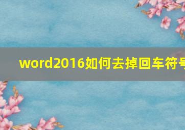 word2016如何去掉回车符号