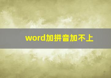 word加拼音加不上