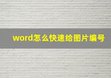 word怎么快速给图片编号