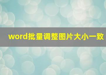 word批量调整图片大小一致