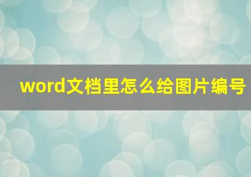 word文档里怎么给图片编号