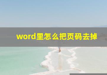 word里怎么把页码去掉