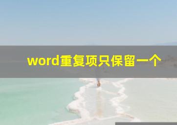 word重复项只保留一个