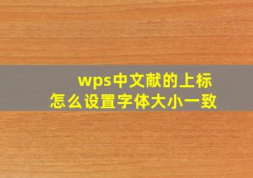 wps中文献的上标怎么设置字体大小一致