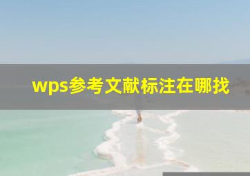 wps参考文献标注在哪找