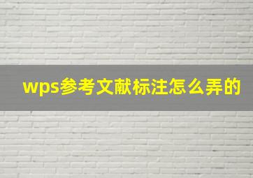 wps参考文献标注怎么弄的