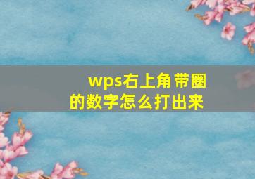 wps右上角带圈的数字怎么打出来