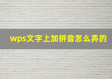 wps文字上加拼音怎么弄的