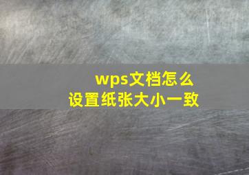 wps文档怎么设置纸张大小一致