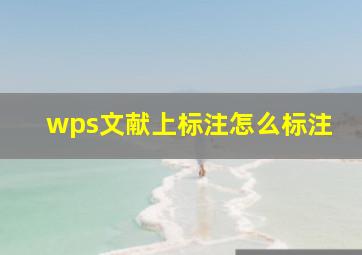 wps文献上标注怎么标注