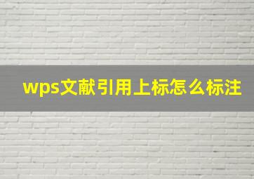 wps文献引用上标怎么标注