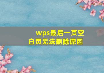 wps最后一页空白页无法删除原因