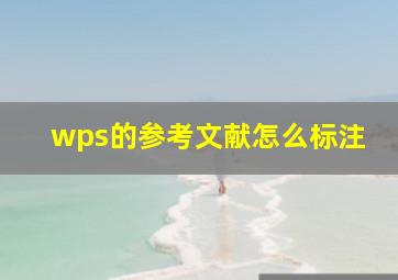 wps的参考文献怎么标注