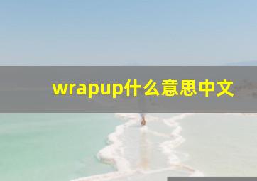 wrapup什么意思中文