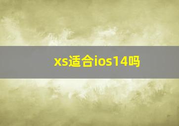 xs适合ios14吗