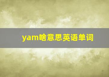 yam啥意思英语单词